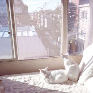 手抓超级大欧派网站
